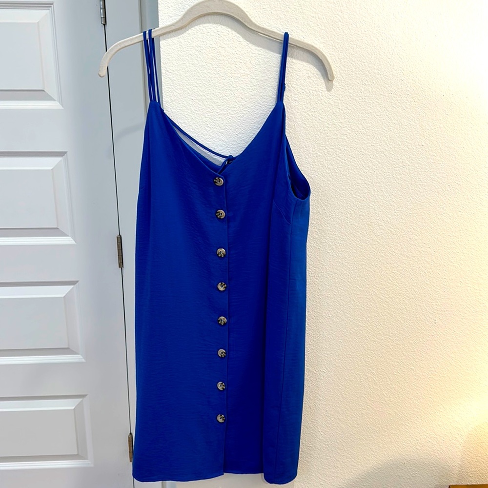 Naked Zebra Indigo Blue Dress